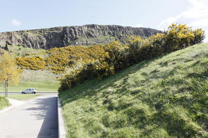 afternoon, bush, day, Edinburgh, eye level view, grass, hill, natural light, path, Scotland, spring, The United Kingdom