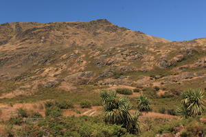 day, eye level view, mountain, palm, summer, sunlight, sunny, sunshine