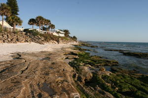 beach, day, eye level view, Florida, palm, rock, Sarasota, seascape, seaweed, shore, steps, sunny, sunshine, The United States, villa, winter