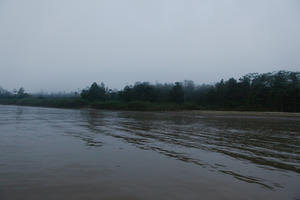 afternoon, Brunei, day, eye level view, fog, forest, natural light, overcast, river, summer, tropical