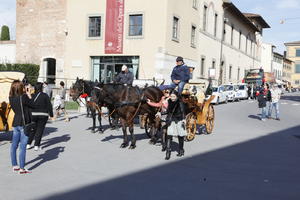 carriage, casual, day, eye level view, group, horse, Italia , people, Pisa, spring, standing, street, sunny, Toscana, walking