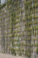 day, eye level view, Porto, Porto, Portugal, spring, sunny, wall