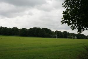 day, England, eye level view, field, grass, London, natural light, The United Kingdom, vegetation