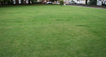 day, diffuse, diffused light, England, eye level view, grass, Lincoln, outdoors, overcast, park, summer, The United Kingdom