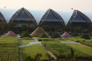 Bangkok, building, day, elevated, garden, grass, Krung Thep Mahanakhon, potted plant, sunny, Thailand