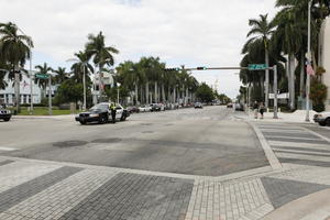 car, coconut palm, Cocos nucifera, crossing, day, diffuse, diffused light, eye level view, Florida, Miami, palm, pavement, police car, street, summer, The United States