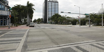 coconut palm, Cocos nucifera, crossing, day, diffuse, diffused light, eye level view, Florida, Miami, pavement, street, summer, The United States