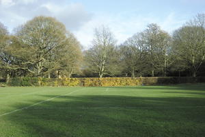 autumn, day, England, eye level view, grass, London, park, sunny, The United Kingdom, treeline