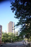 building, day, elevated, Manhattan, New York, street, sunny, The United States, tree, vegetation