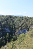 Croatia, day, elevated, forest, Karlovacka, mountain, tree, vegetation