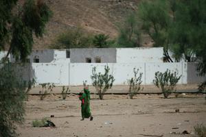 day, desert, donkey, East Timor, Egypt, Egypt, eye level view, middleastern, natural light, sunny, walking, woman