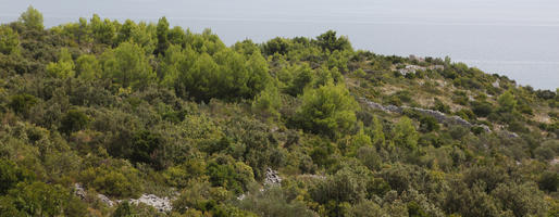 autumn, Croatia, day, diffuse, diffused light, elevated, mountain, shrubland