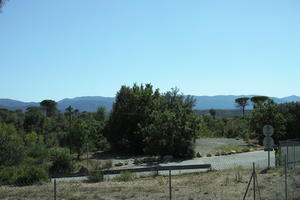 Antibes, day, eye level view, France, France, parking, vegetation