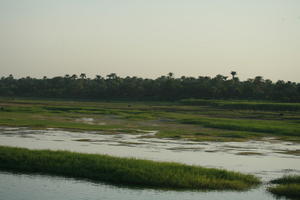 dusk, East Timor, Egypt, Egypt, eye level view, grass, palm, river, river Nile, tree, vegetation