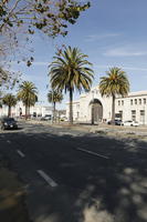 California, day, evergreen, eye level view, palm, Phoenix canariensis, San Francisco, street, summer, sunny, The United States, urban