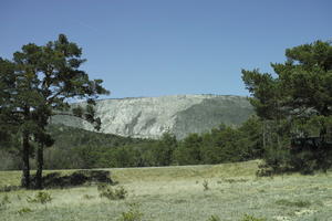 coniferous, day, eye level view, France, mountain, Provence Alpes Cote D