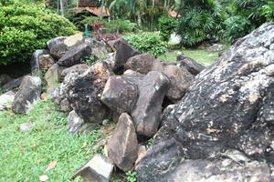 ambient light, bush, day, eye level view, Kedah, Malaysia, overcast, rockery, vegetation