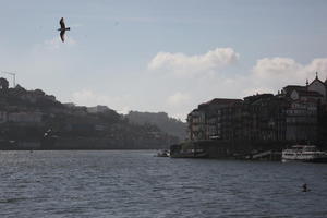 cityscape, day, diffuse, diffused light, eye level view, Porto, Porto, Portugal, river, spring, urban