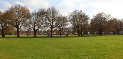 day, deciduous, England, eye level view, grass, London, park, spring, sunny, The United Kingdom, tree