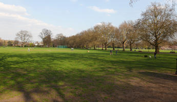 day, deciduous, England, eye level view, grass, London, park, spring, sunny, The United Kingdom, tree