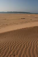 autumn, day, desert, direct sunlight, Essaouira, eye level view, Morocco, natural light, sunlight, sunny, sunshine