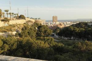 Alicante, cityscape, dusk, elevated, Spain, tree, Valenciana, vegetation