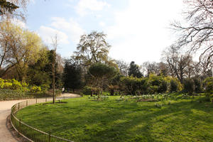 day, deciduous, England, eye level view, grass, London, park, spring, sunny, The United Kingdom, tree