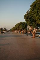 day, dusk, East Timor, Egypt, Egypt, eye level view, natural light, pavement, street, tree, vegetation