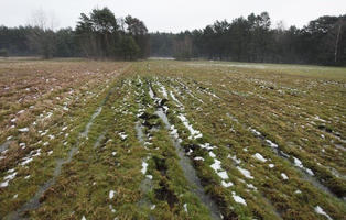 day, diffuse, diffused light, eye level view, field, Kopanica, Poland, snow, Wielkopolskie, winter