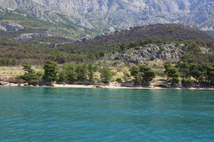 beach, coastline, Croatia, day, eye level view, Makarska, seascape, Splitsko-Dalmatinska, summer, tree, vegetation