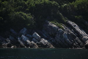 coastline, Croatia, day, eye level view, seascape, summer, tree, vegetation