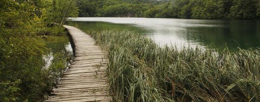 bridge, Croatia, day, diffuse, diffused light, eye level view, Karlovacka, lake, natural light, path, reed, summer