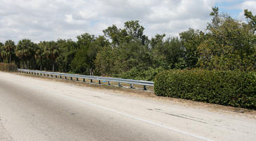 bush, day, eye level view, Florida, Miami, road, shrub, summer, sunny, The United States, treeline