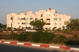 autumn, building, bush, day, direct sunlight, dusk, Essaouira, eye level view, Morocco, natural light, residential, street, sunlight, sunshine, tree, vegetation