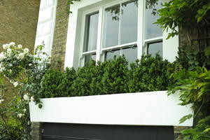 day, England, eye level view, London, overcast, plant, pod, spring, street, The United Kingdom, urban, vegetation