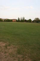 afternoon, Cambridge, day, England, eye level view, grass, lawn, park, spring, The United Kingdom, vegetation