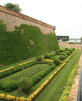 Barcelona, bush, Cataluña, day, diffuse, diffused light, elevated, green wall, hedge, natural light, park, Spain, spring