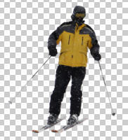 caucasian, cutout, cutout men, cutout people, day, diffuse, diffused light, eye level view, front, male, man, skiing, sporty, winter