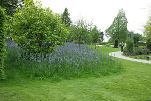 day, England, eye level view, garden, grass, natural light, park, The United Kingdom, Woking