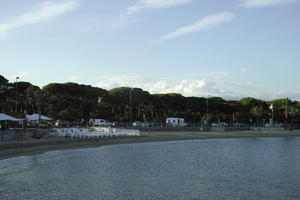 autumn, beach, coniferous, day, eye level view, France, Mandelieu-la-Napoule, parasol pine, pine, Provence Alpes Cote D