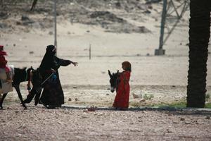 child, day, desert, donkey, East Timor, Egypt, Egypt, eye level view, middleastern, natural light, sunny, walking, woman