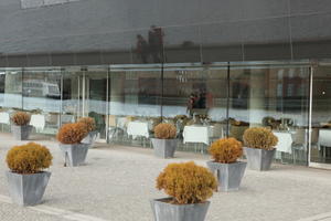 Copenhagen , day, Denmark, eye level view, facade, glass, Kobenhavn, potted plant, restaurant, sunny, winter