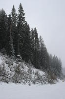 Bulgaria, day, eye level view, mountain, overcast, pine, slope, snow, tree, vegetation, winter