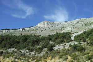 autumn, below, bright, day, forest, France, mountain, Provence Alpes Cote D