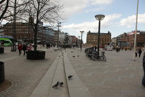 Copenhagen , day, Denmark, eye level view, Kobenhavn, lamppost, overcast, pidgeons, square, winter