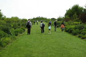 day, England, eye level view, family, garden, grass, group, natural light, park, people, plant, The United Kingdom, Woking