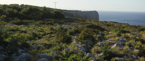 bright, bush, day, Denia, eye level view, shrub, shrubland, Spain, spring, sunny, Valenciana