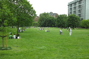 day, England, eye level view, grass, Hyde Park, London, overcast, park, people, playing, spring, The United Kingdom, tree, vegetation