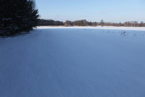 afternoon, bright, day, eye level view, field, Poland, shady, snow, sunny, treeline, Wielkopolskie, winter