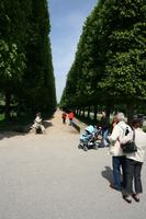 back, day, eye level view, family, France, group, Ile-De-France, landmarks, Palace of Versailles, Paris, park, path, pavement, people, spring, summer, summer, sunny, tree, vegetation